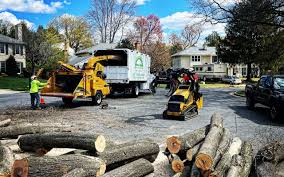 Best Tree Risk Assessment  in Lakin, KS